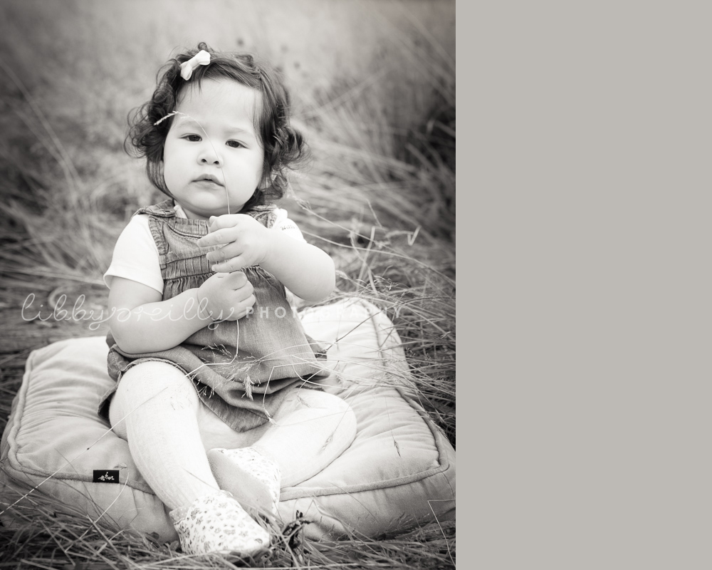 Family Photographer