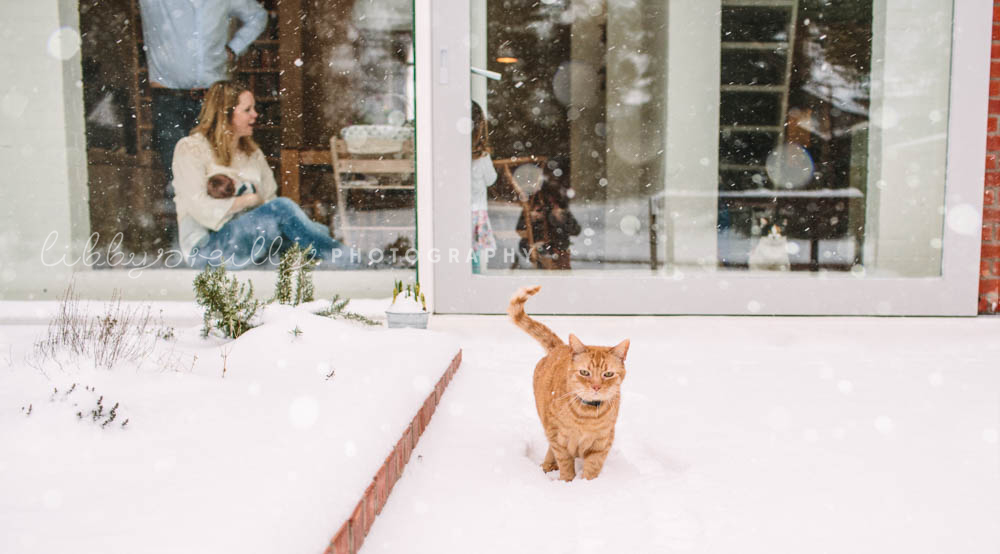 Winter Family & Newborn Lifestyle Photoshoot, Dublin Ireland