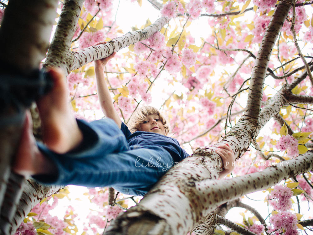 Cherry Blossom Photography - LibbyOReilly