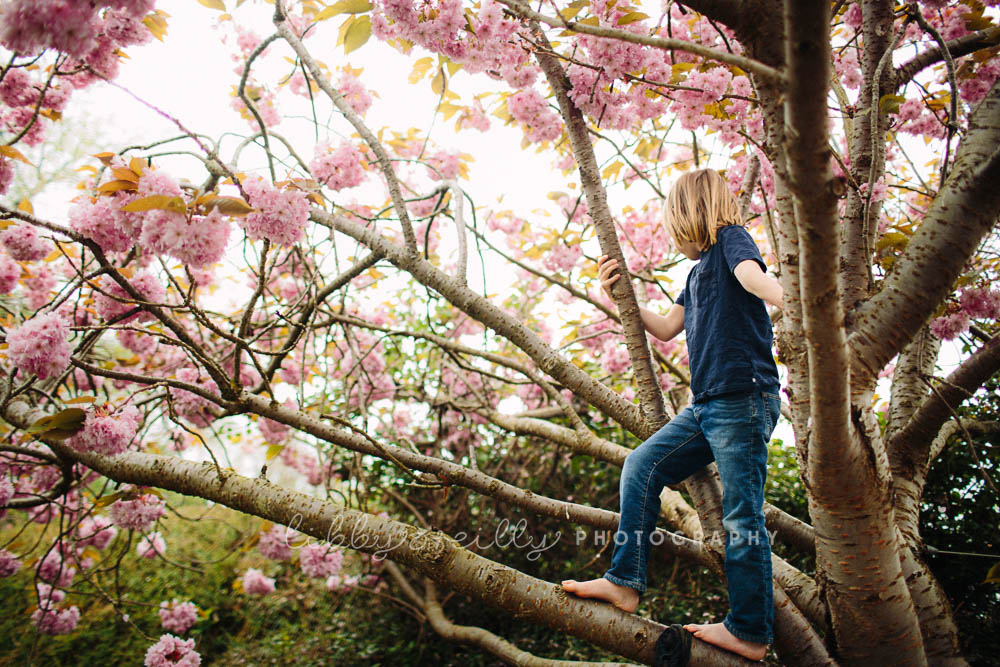 Cherry Blossom Photography - LibbyOReilly