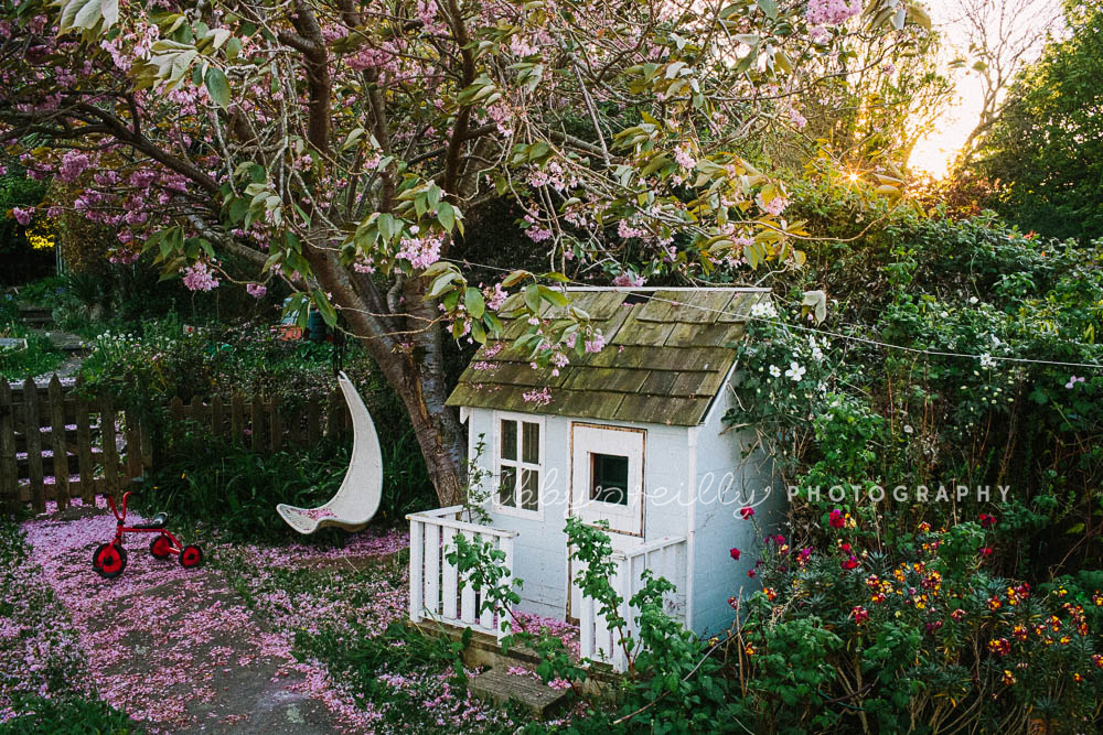 Cherry Blossom Photography - LibbyOReilly