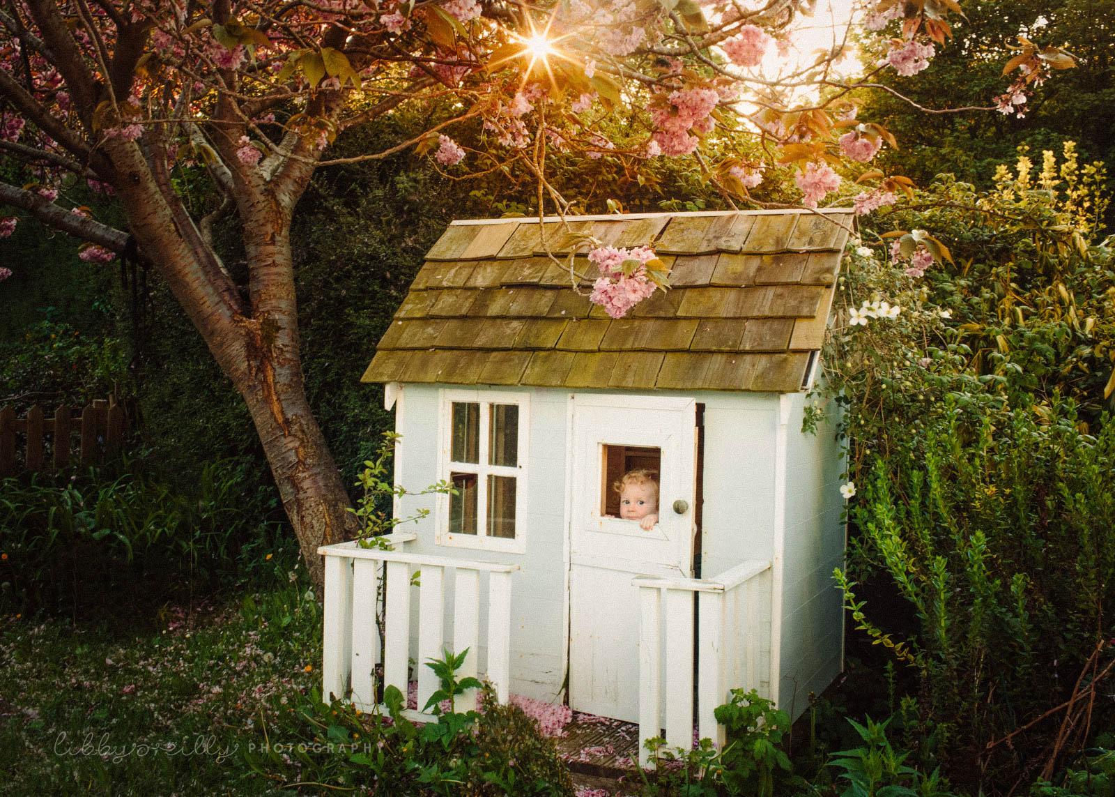 Cherry-Blossom-Photography-LibbyOReilly