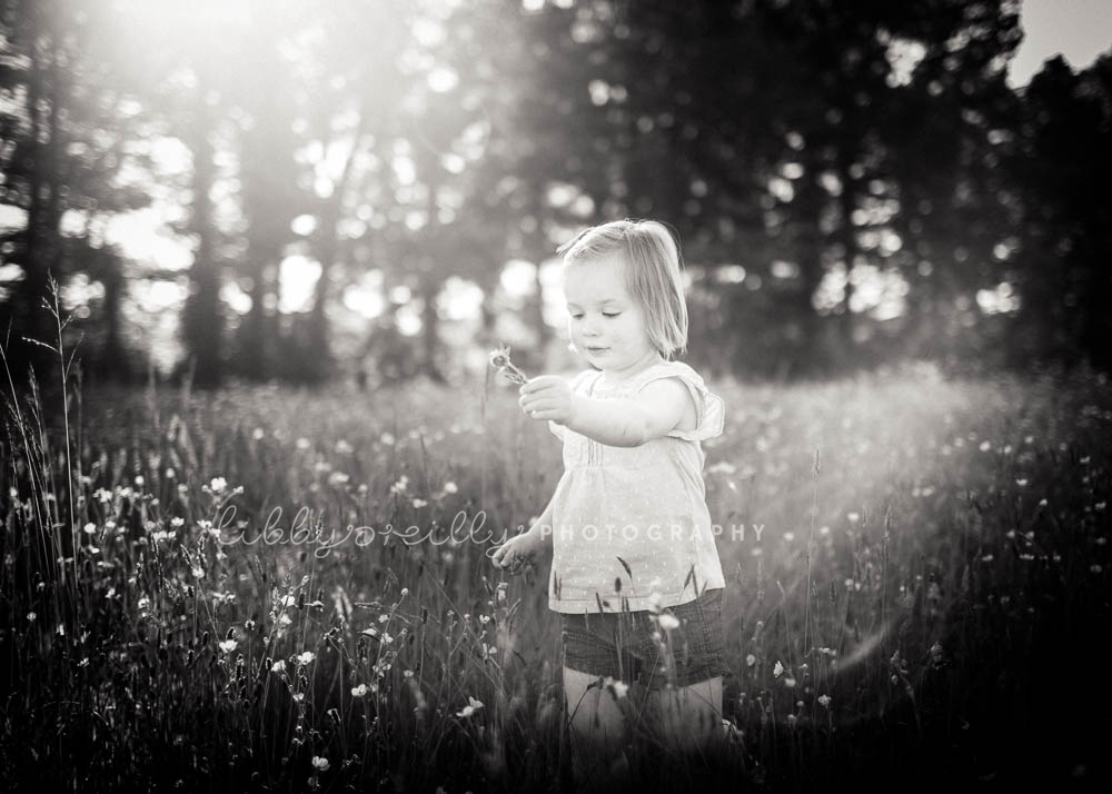 Summer Evening Outdoor Family Photography Photoshoot Dublin 